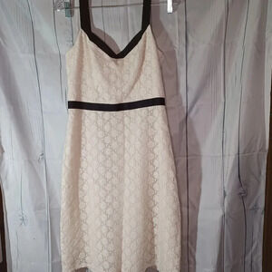 Ann Taylir Loft Black Trim Ivory Lace Sleeveless Dress Size 8p